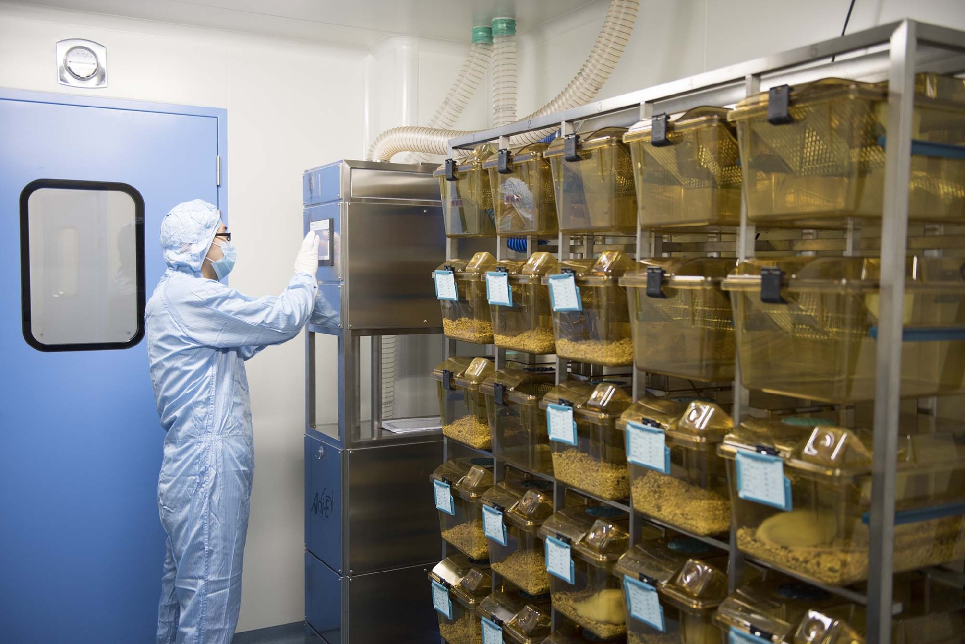 動(dòng)物房 動(dòng)物房